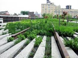 New York S High Line Park To Double In Size By Next Spring Urban Landscape Landscape Urban Tree