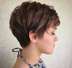 Susan Ventrice (sventrice54)