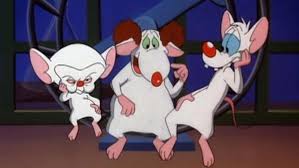 Pinky & the fog/где раньше не было мыши/сырная перекличка. Watch Pinky The Brain Streaming Online Hulu Free Trial