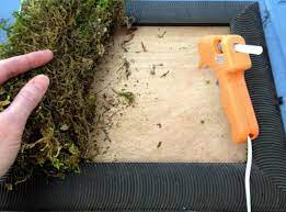 Diy moss wall fern and art more indoor lisaflynn. Diy Kit For Moss Living Wall Edible Walls