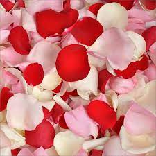 Rose Petals Choose Color And Quantity Sam S Club Yellow Rose Petals White And Pink Roses Rose Petals