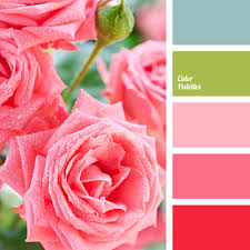 These are hues, tints, shades, and tones. Red And Pink Color Palette Ideas