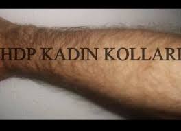 Tanfer A Twitter Bkz Hdp Kadin Kollari