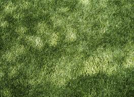 Pet friendly artificial grass reviews. Pros And Cons Artificial Grass Versus A Live Lawn Gardenista
