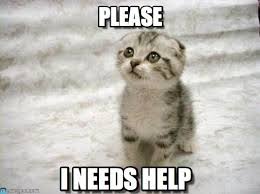 Resultat De Recherche D Images Pour Help Me Please Meme Cute Animals Cute Baby Animals Kittens Cutest