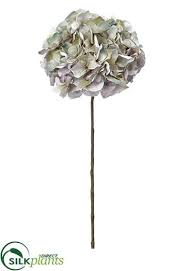 We did not find results for: Hydrangea Spray Aqua Teal Pack Of 12 Clt Qa 099hsfs Silkplantsdirect Com Silk Plants Direct