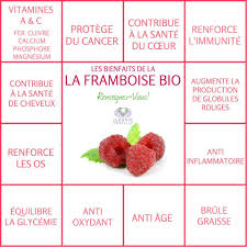 Bienfait De La Framboise Bio Alimentation Et Nutrition Sante Sante Naturelle