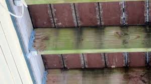 How to remove mold from wood furniture rescue one restoration ask wet forget outdoor mildew remover for patio how to remove mildew from outdoor furniture outsidemodern how to remove mildew stains from outdoor cushions. Best Way To Clean Underside Of A Wood Deck Silive Com