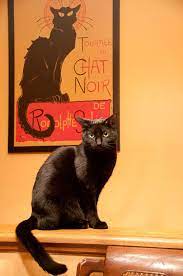 First The Late Echo Liked To Jump Up Onto The Half Wall To Pose Here In Front Of The Chat Noir Poster Now Patti Is Crazy Cats Black Cat Art