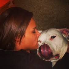 Karen Read's Involvement in John O'Keefe's Death Investigation