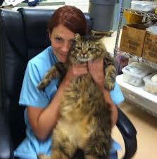 They can usually get you in quickly, and they care about your pets. Our Veterinary Team Surf City Pet Hospital