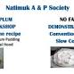Nati Frinj Biennale: No Fail Pavlova & Traditional... event in Natimuk VIC