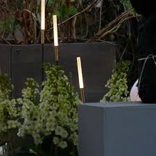 Lichtpunkte Im Grun Syphasera Von Catellanismith Gesehen Im Blumenhaus Wein Lichtgestaltung Von Kunstlichtanneliescherschel Instagram Outdoor Plants