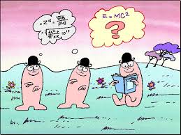 Image result for shadoks