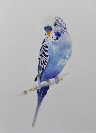 Pin By Mustafa Orucu On Birdwatching Bird Art Watercolor Bird Bird Watercolor Paintings