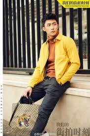 Résultat de recherche d'images pour "jīng yú"