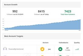 Instagram Growth Chart 2 Freelancer