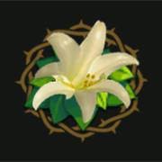 You're beautiful and extraordinary like a fragrant flower from the wild. As A Lily Among Thorns Ministry Home Facebook