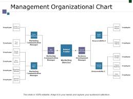 Management Organizational Chart Ppt Powerpoint Presentation