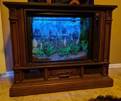 Check spelling or type a new query. Are You An Aquarist Here Are Some Ways To Incorporate An Aquarium In Your Home Design Hipcouch Complete Interiors Furniture