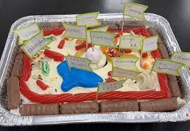 6th Grade Science Class Creates Edible Cell Models Atlantic Christian School