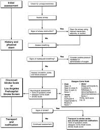 If you were asked to skip medications before the test, ask if you should take them now. Part 3 Adult Basic Life Support Circulation