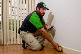 As a pest control company, pest control gold coast is recognized as an active member of the australian pest control association, the leading accreditation organization of pest control in australia. Pest Control Termite Management Services Gold Coast Tweed Heads Pottsville