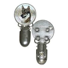 Image result for západosibiřská lajka