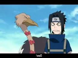 Sasuke Vs Ostrich Sasuke Vs Anime Anime Shows