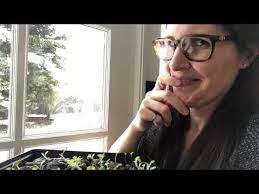 Best gardening books