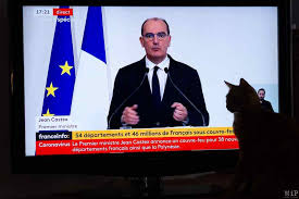 Le vrai du faux by france info. Vrai Ou Faux Les Chiffres Covid 19 Expliques A Mon Chat Qui Comprend Tout