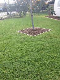 We have 4272 homeowner reviews of top phoenix landscaping companies. Garden Maintenance Vip Garden Maintenance Lawn Mowing