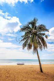 Temukan gambar pemandangan tepi pantai. Gambar Pemandangan Di Tepi Laut