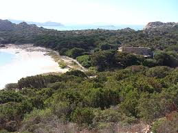 It is part of the la maddalena national park. Inselarchiv Isola Budelli Italien Europa Mittelmeer