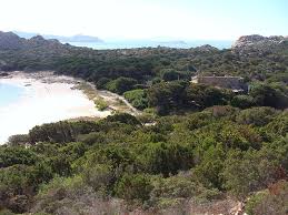 Budelli is located several hundred metres south of razzoli and santa maria islands. Island Archive Isola Budelli Italy Europe Mediterranean