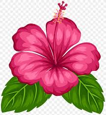 We did not find results for: Good Morning Android Greeting Png 7375x8000px Good Android Annual Plant China Rose Chinese Hibiscus Download Free