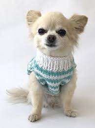 Hand Knitted Striped Doggie Sweater Dog Sweaters Cute Chihuahua Pet Sweaters