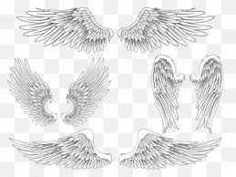 All the best easy angel wings drawing 30 collected on this page. Free Transparent Realistic Angel Wings Png Images Page 1 Pngaaa Com