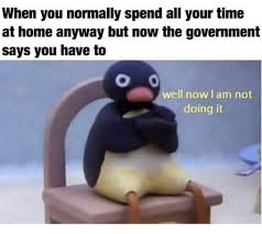 Meme S Quotes Memes Its Memes Laughing Memes Memes Quotes Funnie Memes I Meme Truthful Memes In 2020 Really Funny Memes Funny Relatable Memes Stupid Funny Memes