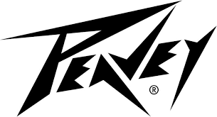Black And White Lightning Bolt Symbol Copy And Paste List Of 22 Best Guitar Brands And Their Logos Guitar Logo Peavey Logotype Music