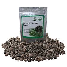 Wholesale plants nursery in pakistan. Imported Garden Pebbles Online Shopping In Pakistan