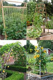 24 Easy Diy Garden Trellis Ideas Best Plant Structures Garden Layout Vegetable Diy Garden Trellis Backyard Vegetable Gardens