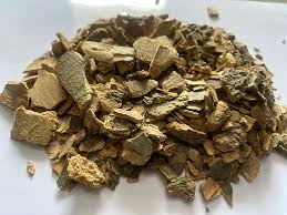 Image result for Rauvolfia vomitoria