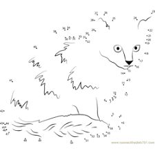 The printables below feature some simple ones and some more complicated ones for older children to connect the dots. Cat Connect The Dots Worksheets Printable For Kids