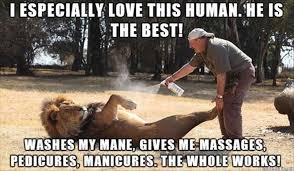 Funny Animal Pictures Of The Day 23 Pics Daily Lol Pics Funny Wild Animals Funny Animals Cute Animals
