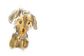 We did not find results for: Boundingsquirrel Whimsical Illustrations Wall Art And Gifts Free Happy Birthday Animated Dog Gif To Share