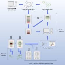 Image result for Blue 1999 AAV