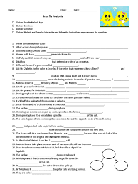 Click on the link below to begin the meiosis and genetics game. Snurfle Meiosis Another Ws Meiosis Chromosome