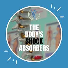 Image result for Spinal Shock