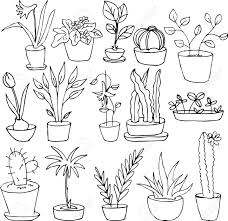 Line Drawing Home Plants Hand Drawn Vector Illustration Royalty Free Cliparts Vectors And Stock Illustration Image 41351375 Line drawing is very basic but it can be tricky. line drawing home plants hand drawn vector illustration